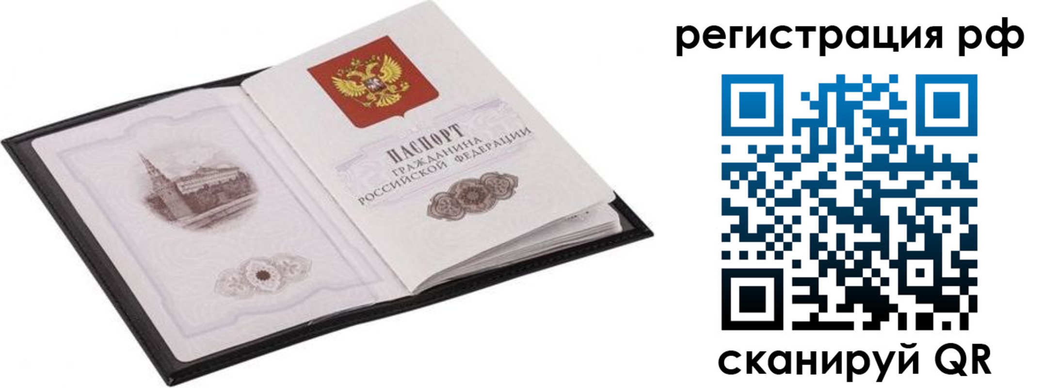 прописка ребенка в Фрязино